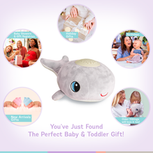 Load image into Gallery viewer, Cacchino's Ben Baby Soother Sleep Aid & Night Light Sound Machine (Not Cry Activated)